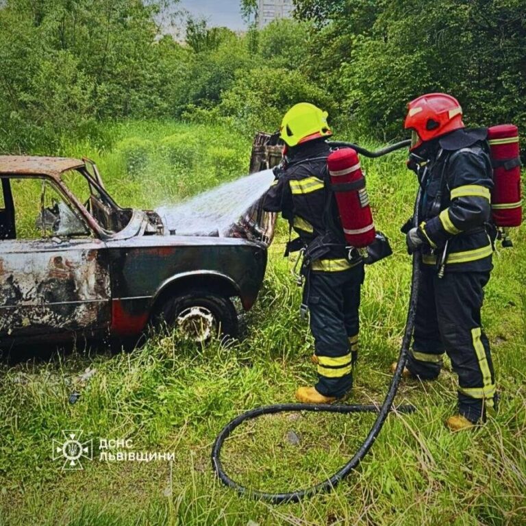 У Львові на території гаражного кооперативу згорів автомобіль ВАЗ, – ФОТО