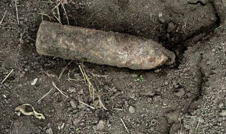 У лісі біля Львова знайшли артснаряд часів Другої світової