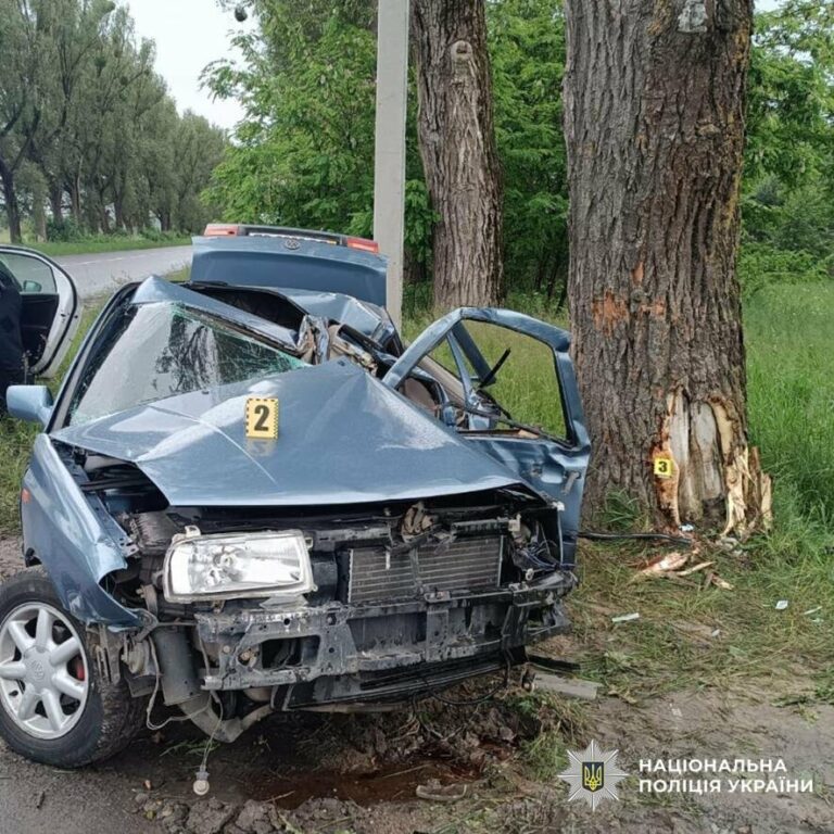 На Львівщині легковик врізався в дерево: двоє травмованих, – ФОТО