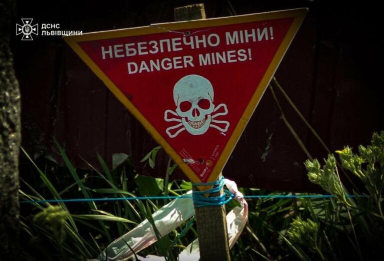 На Львівщині в лісі та на будмайданчику знайшли снаряд та міну часів Другої світової війни