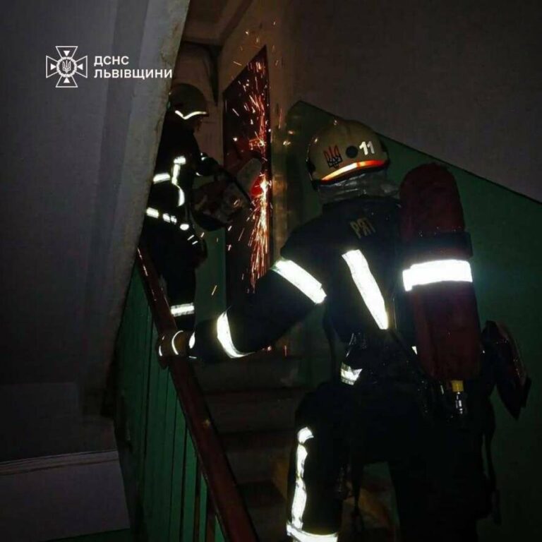 Пожежа на Львівщині: рятувальники боролись за життя собаки, але не встигли