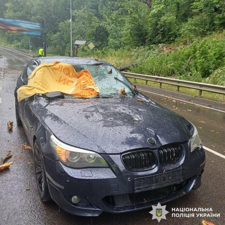 Неподалік Львова на ходу на BMW впало дерево: постраждала 17-річна пасажирка