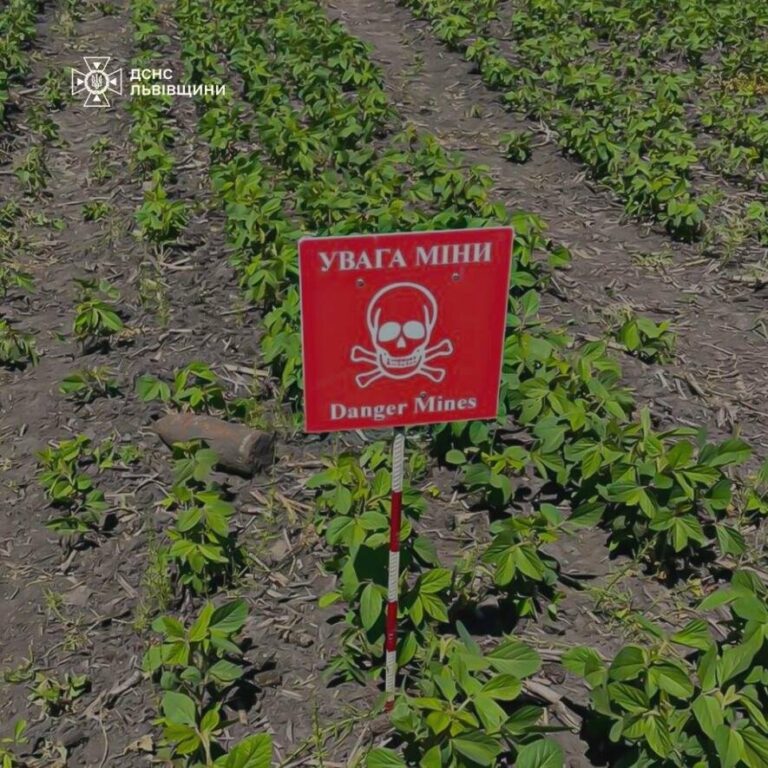 Смертельна спадщина війни: на Львівщині сапери знешкодили застарілий боєприпас