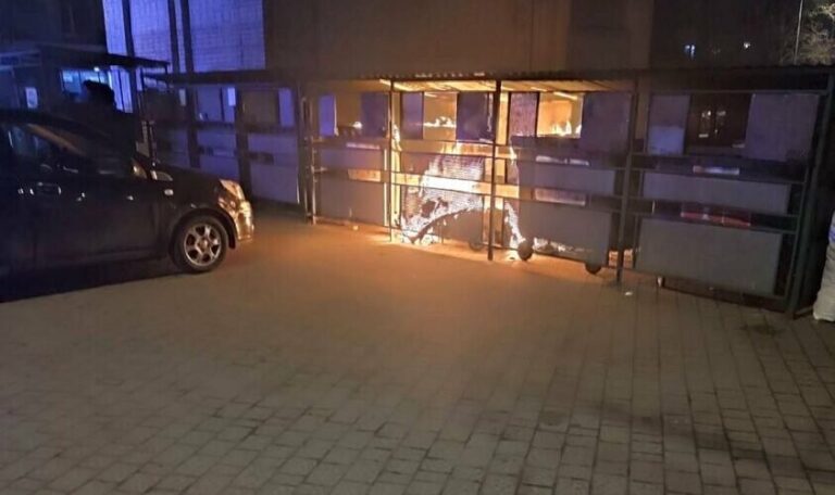 У Львові почастішали пожежі на сміттєвих контейнерах: мерія закликає бути уважними