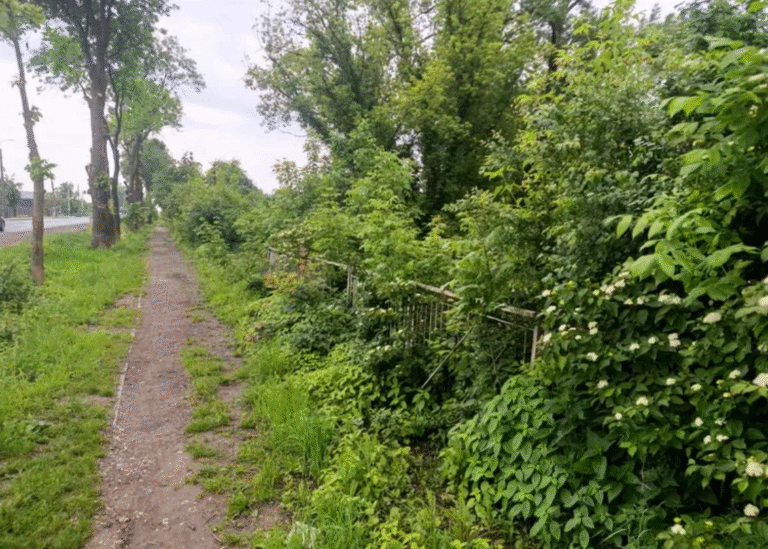 В Городку мають збудувати ТРЦ з кінотеатром. В аукціоні перемогла львівська фірма