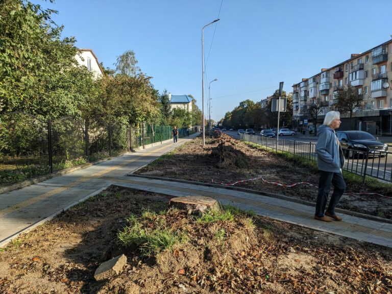 Львів’яни висловили невдоволення через знищення алеї дерев: офіційна відповідь міста про майбутні зміни.