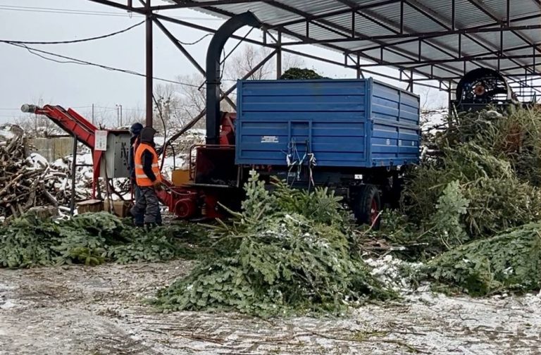 Зміна графіків збору ялинок у Львові: нові дати та місця через погоду
