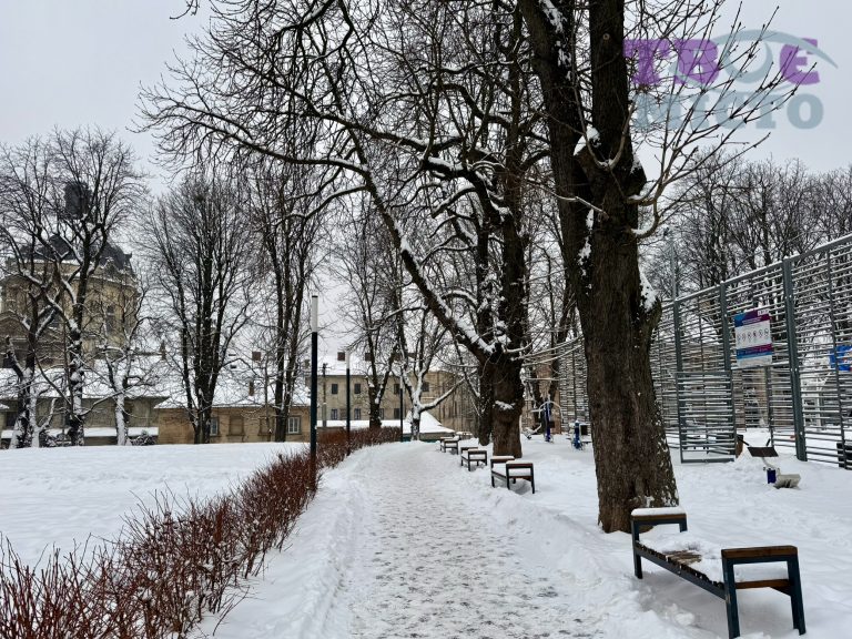 Львів зустріне 11 січня з морозами до -20°C: прогноз погоди.