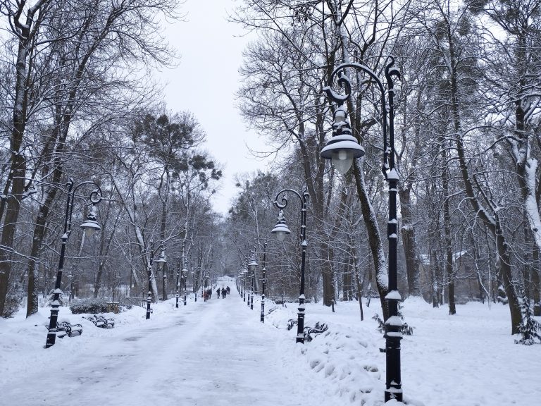 10 лютого на Львівщині: прогноз погоди й очікувані зміни
