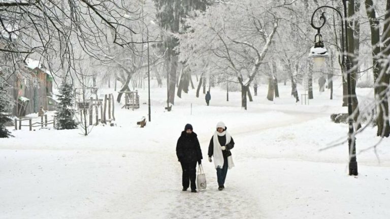 Якими стануть парки Львова: місто збирає пропозиції від мешканців