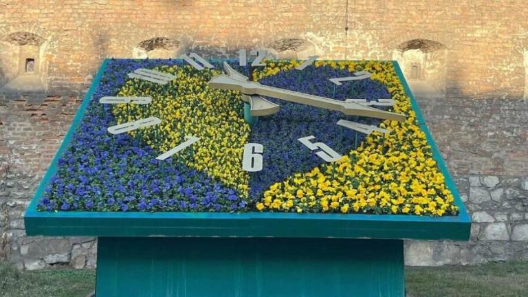 Понад 1400 віол прикрасили львівський «Квітковий годинник» — ФОТО