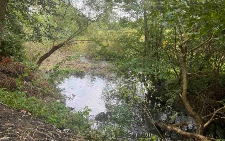 Місце і дата початку робіт