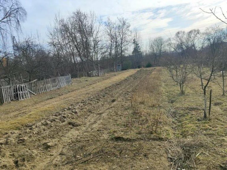 У Львові на аукціон виставили понад 2 гектари землі зі стартовою ціною 30 млн грн