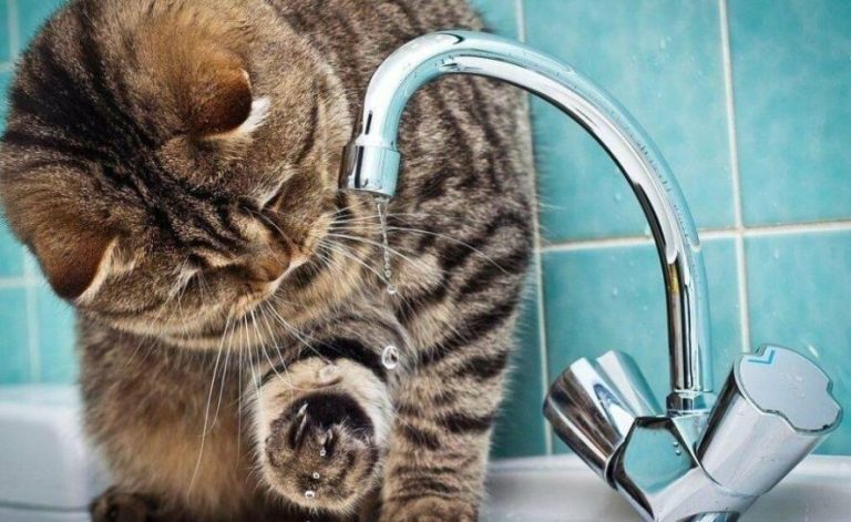 Через аварію на водогоні у частині Львова знизився тиск водопостачання — перелік вулиць