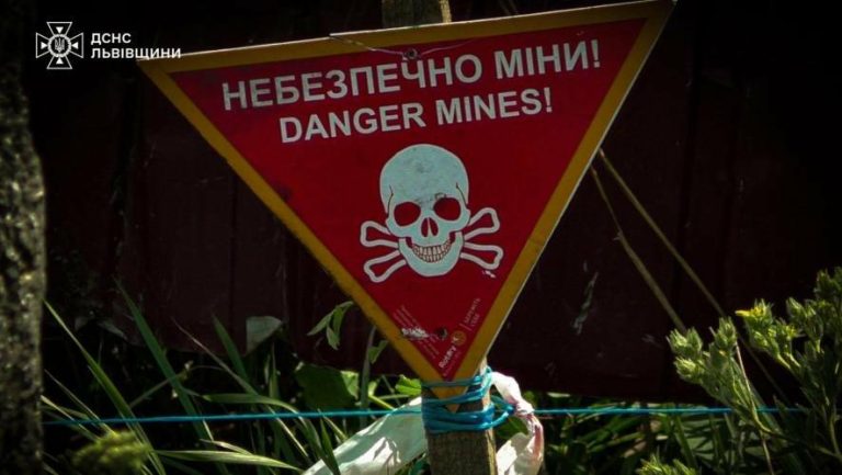 Під Львовом виявили небезпечну схованку: гранати й набої, що десятиліттями спочивали в землі