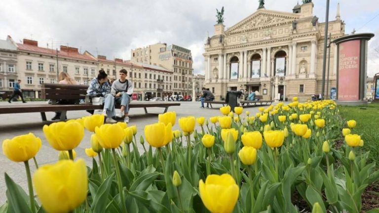 Квітневе диво у Львові — 165 тисяч тюльпанів і понад 5 тисяч дерев та кущів прикрасять місто