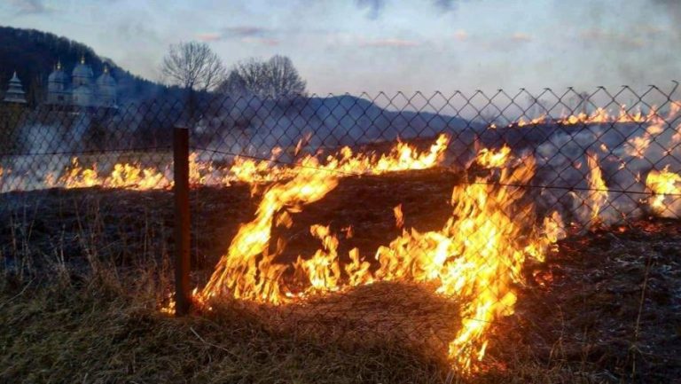 За добу на Львівщині приборкали 20 пожеж сухостою — вигоріло понад 2 гектари