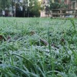 У Львові вночі повернуться заморозки — температура різко знизиться