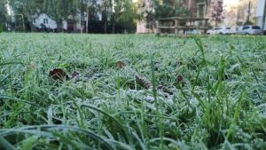 У Львові вночі повернуться заморозки — температура різко знизиться