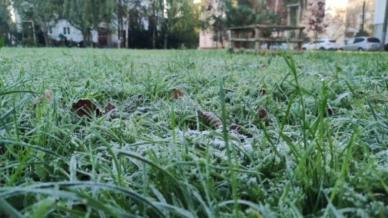 У Львові вночі повернуться заморозки — температура різко знизиться