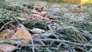 Нічні заморозки очікуються у Львові 22 квітня