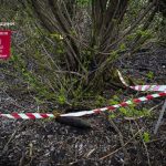 У полі на Львівщині знешкодили артснаряд часів Другої світової — ФОТО