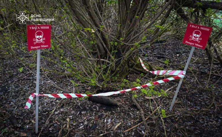 У полі на Львівщині знешкодили артснаряд часів Другої світової — ФОТО