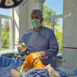 Як і де у Львівській області отримати безкоштовне ендопротезування