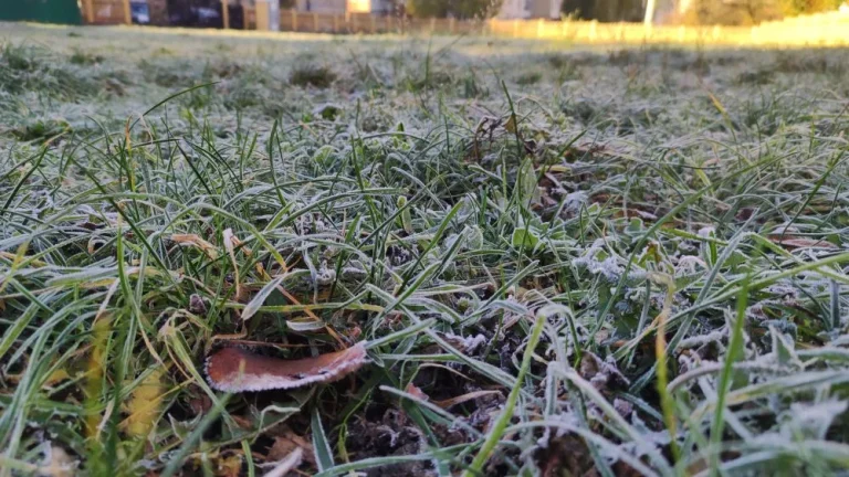 7 квітня у Львові прогнозують нічні заморозки та поривчастий вітер