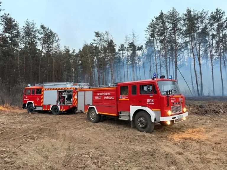 Арламівська Воля охоплена пожежею: лісу загрожує вогонь