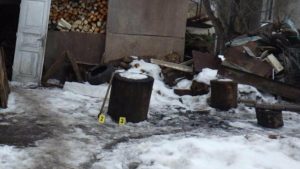 Чоловіка на Львівщині підозрюють у жорстокому вбивстві кота