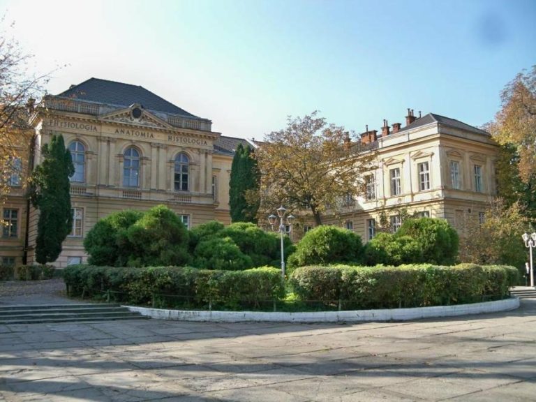 Львівський медуніверситет відкриває двері для абітурієнтів на дві нові спеціальності