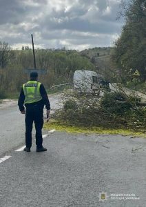 Потужний вітер повалив дерево на вантажівку — 46-річного водія госпіталізовано