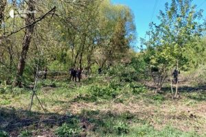 У львівському парку виявили тіло немовляти