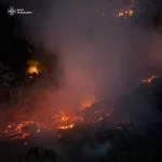 На Львівщині зростає кількість пожеж сухої трави — тривожні дані від Голосу Сокальщини