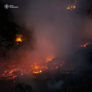 На Львівщині зростає кількість пожеж сухої трави — тривожні дані від Голосу Сокальщини