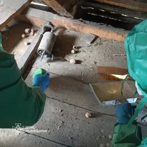 У Кам’янка-Бузькій рятувальники вилучили 6,6 кг ртуті