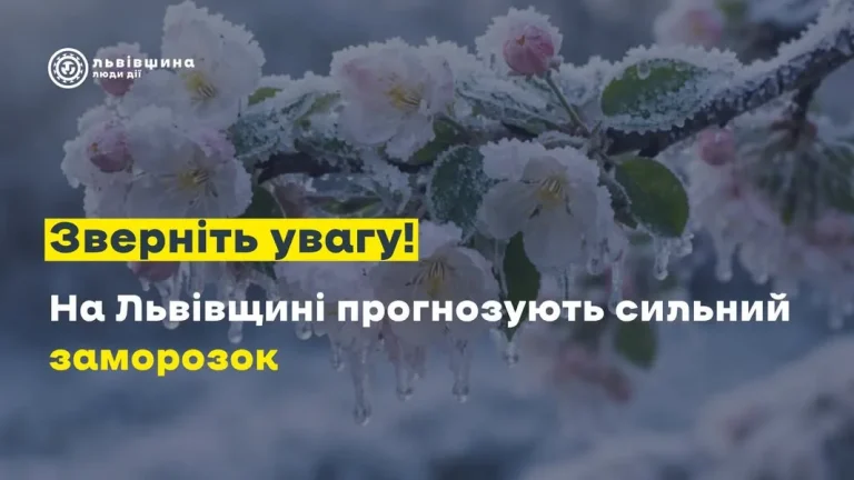 У Львівській області очікують морозні ночі до -5°