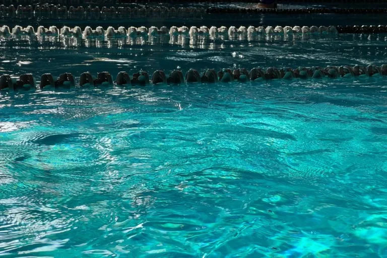 Чи відповідають львівські басейни стандартам для безпечного плавання — перевірка Голос Сокальщини