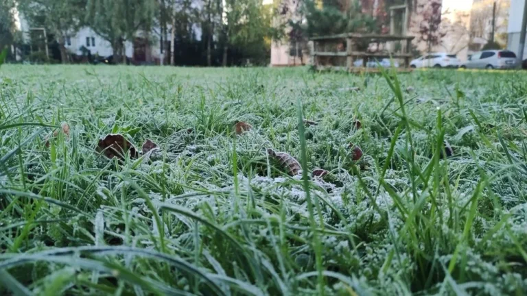 У Львові готуються до сильних квітневих заморозків