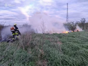 Львівські рятувальники загасили 17 пожеж на гектарі