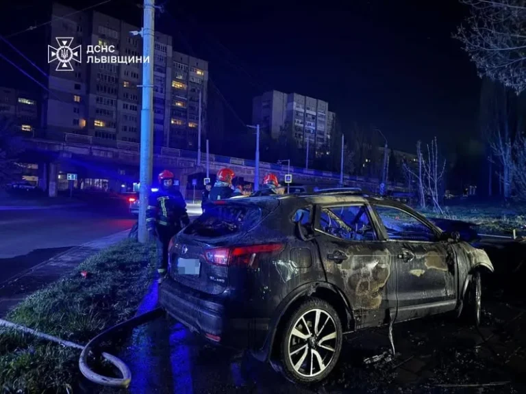 Львівські рятувальники приборкали пожежу в автомобілі