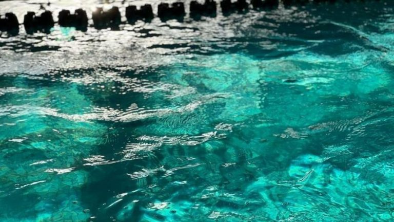 Названо безпечні місця для купання у Львові — оприлюднено результати перевірки аквапарку й спорткомплексів