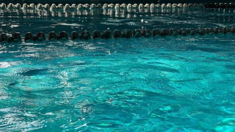 Пірнай у Львові: найкращі басейни для відпочинку та тренувань