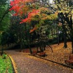 10 неймовірних фактів про Стрийський парк — лебеді, русалки і дитяча залізниця