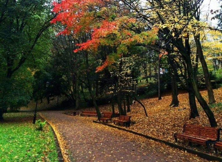 10 неймовірних фактів про Стрийський парк — лебеді, русалки і дитяча залізниця