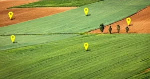 У Львівській області продають земельну ділянку для освітніх та наукових проєктів