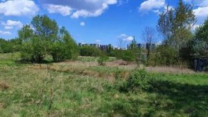 Попит на землю у Львові стрімко зростає: де з’являться нові забудови
