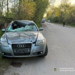 На Львівщині п’яний водій смертельно збив велосипедиста та втік — ФОТО