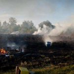 На Львівщині пожежа знищила десятки вуликів, частину пасіки вдалося врятувати — ФОТО